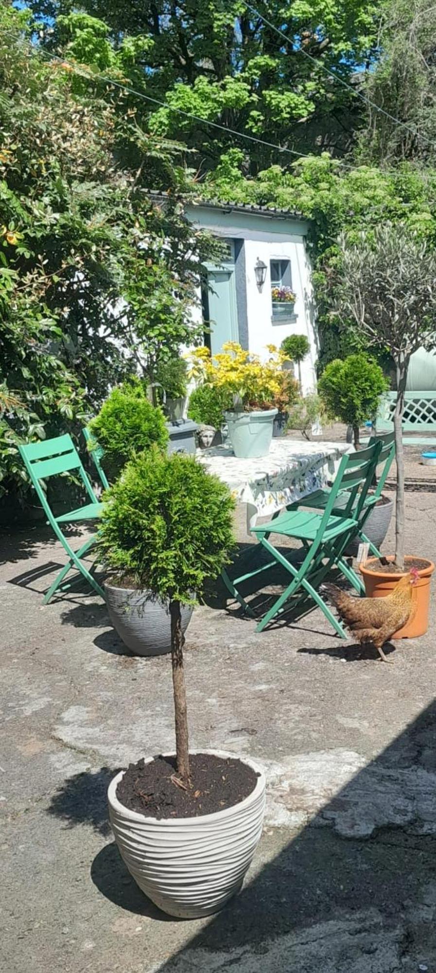 Saint Martin'S Bed And Breakfast Bandon Zewnętrze zdjęcie