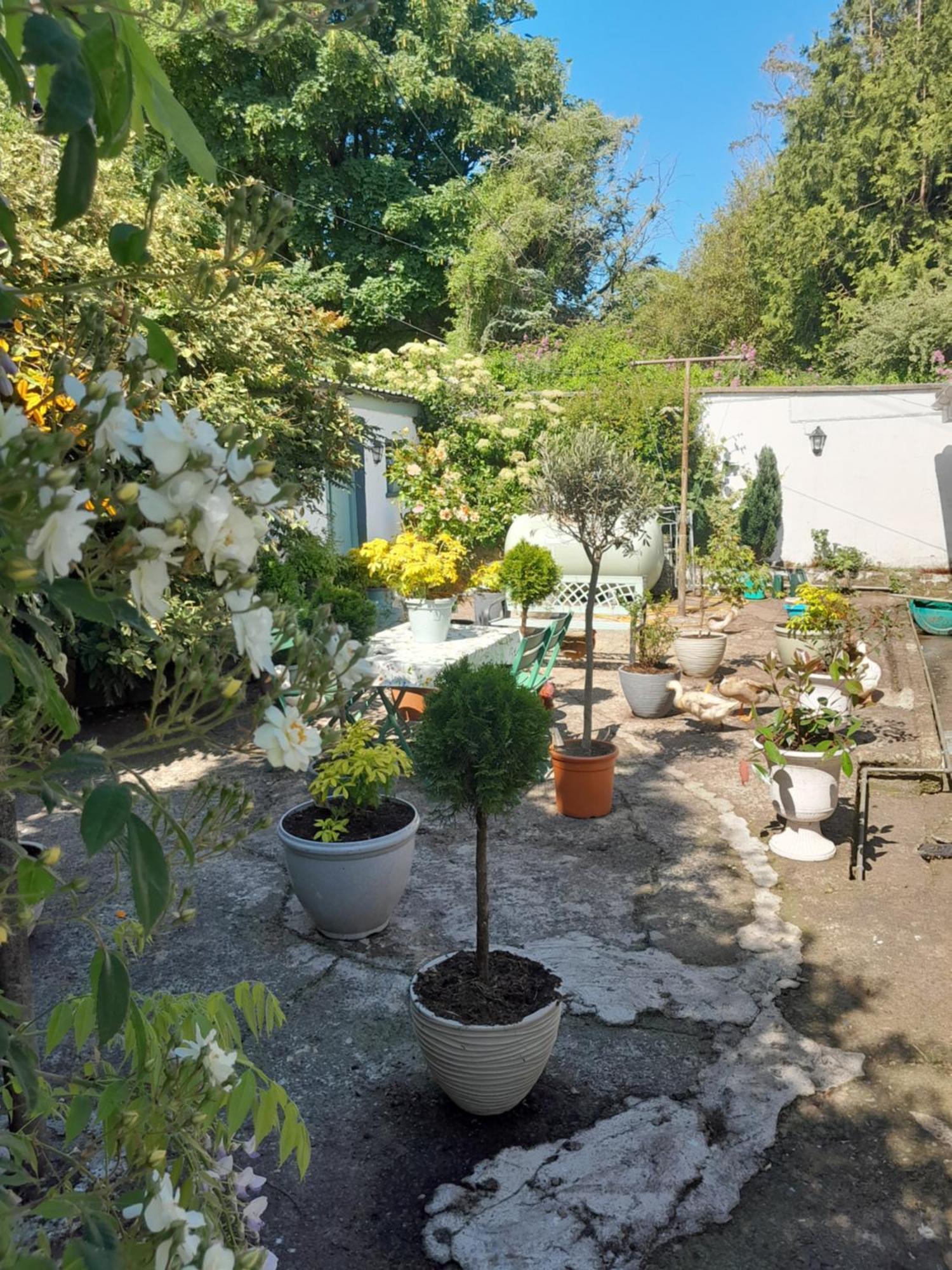 Saint Martin'S Bed And Breakfast Bandon Zewnętrze zdjęcie